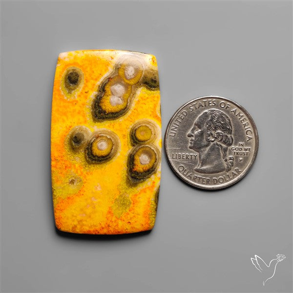 Orbicular Bumble Bee Jasper Cabochon