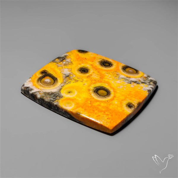 Orbicular Bumble Bee Jasper Cabochon