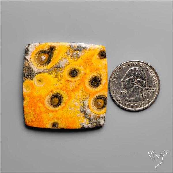 Orbicular Bumble Bee Jasper Cabochon
