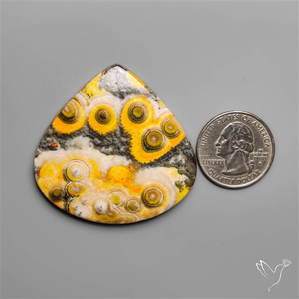 Orbicular Bumble Bee Jasper Cabochon