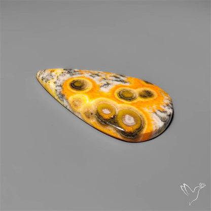 Orbicular Bumble Bee Jasper Cabochon