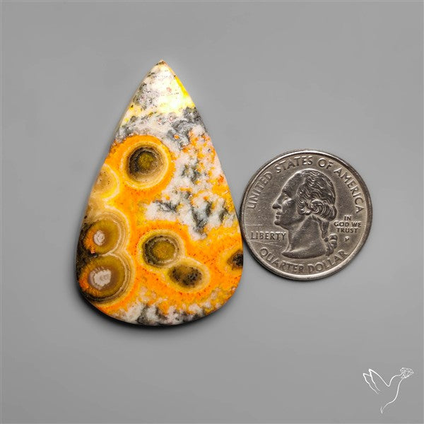Orbicular Bumble Bee Jasper Cabochon
