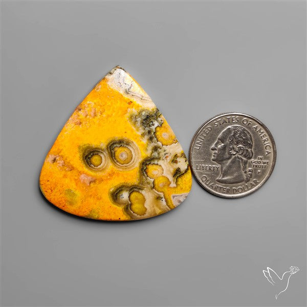 Orbicular Bumble Bee Jasper Cabochon