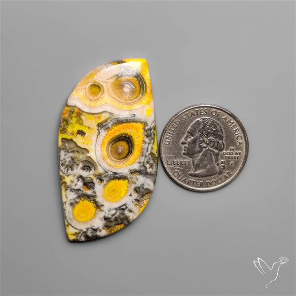 Orbicular Bumble Bee Jasper Cabochon