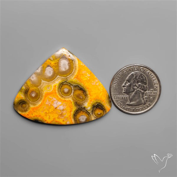 Orbicular Bumble Bee Jasper Cabochon