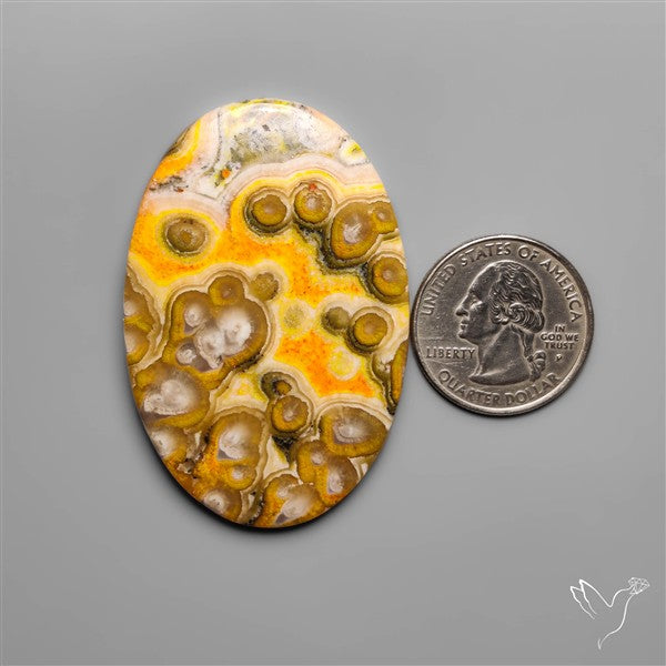 Orbicular Bumble Bee Jasper Cabochon