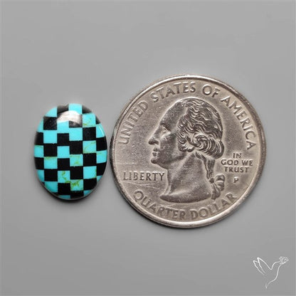Kingman Turquoise Checker Inlay Black Onyx