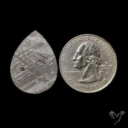 Rare Gibeon Meteorite