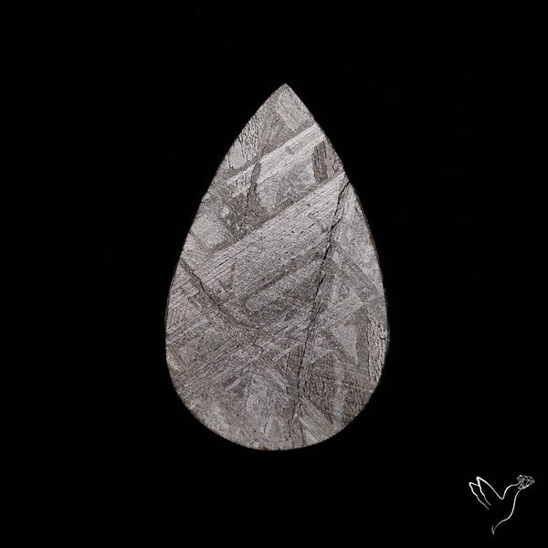 Rare Gibeon Meteorite