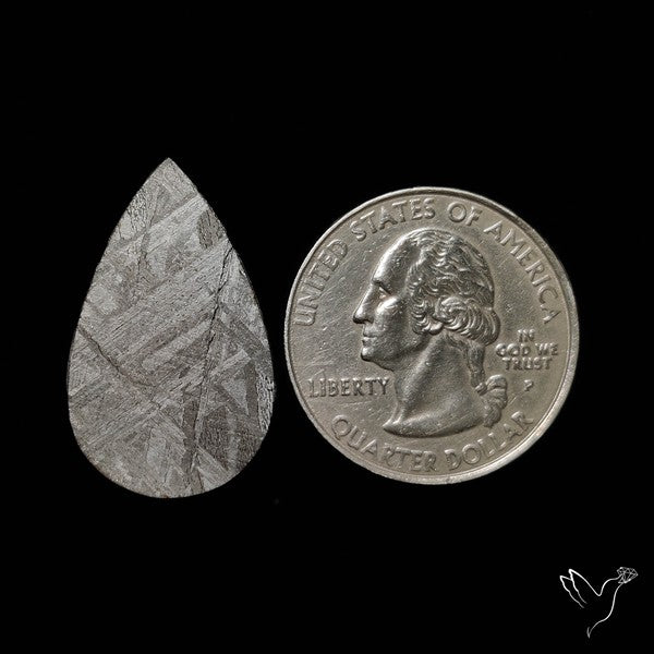 Rare Gibeon Meteorite