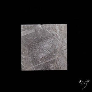 Rare Gibeon Meteorite