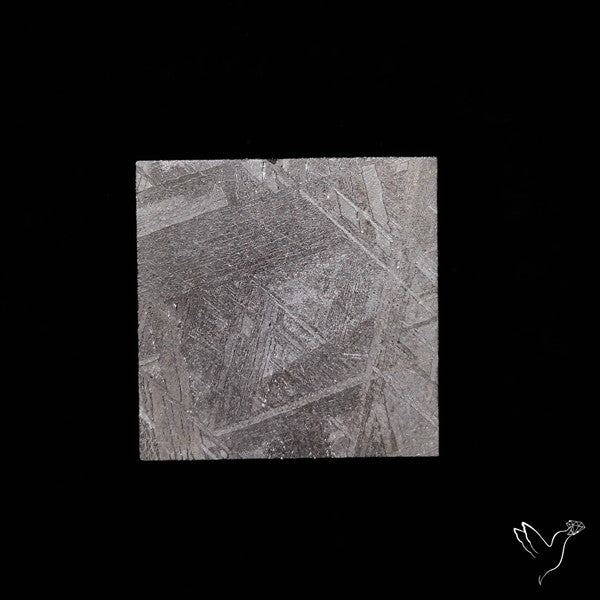 Rare Gibeon Meteorite