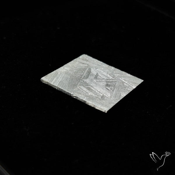 Rare Gibeon Meteorite