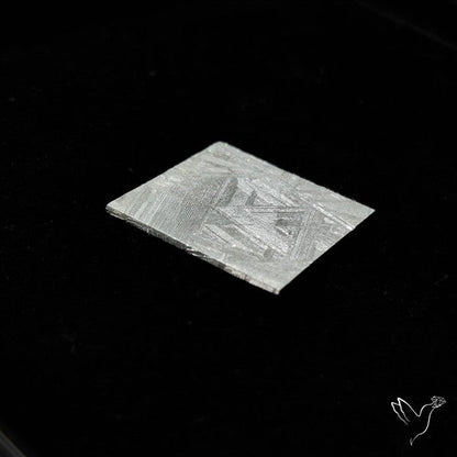 Rare Gibeon Meteorite