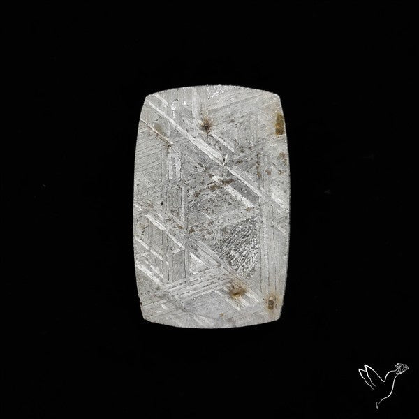 Rare Gibeon Meteorite