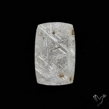 Rare Gibeon Meteorite