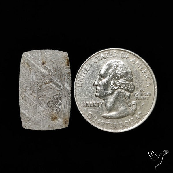 Rare Gibeon Meteorite