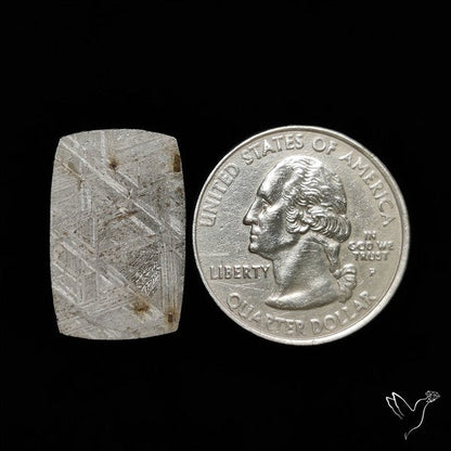 Rare Gibeon Meteorite