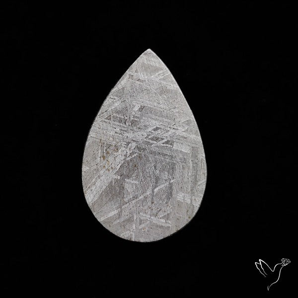 Rare Gibeon Meteorite