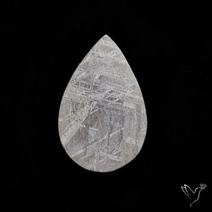 Rare Gibeon Meteorite