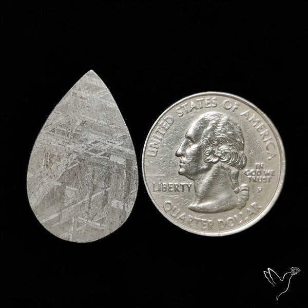 Rare Gibeon Meteorite