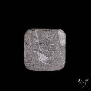 Rare Gibeon Meteorite
