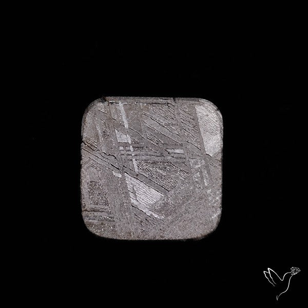 Rare Gibeon Meteorite