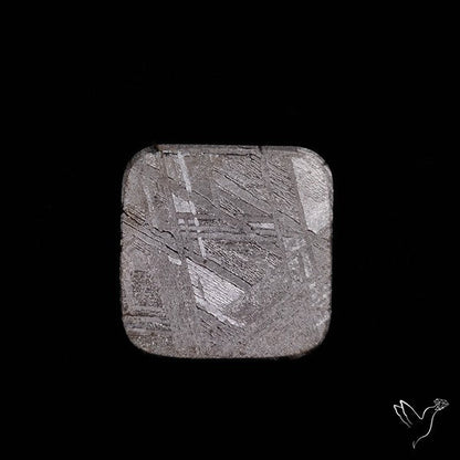 Rare Gibeon Meteorite