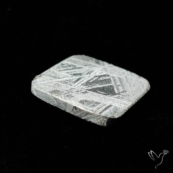 Rare Gibeon Meteorite