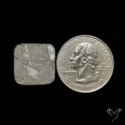 Rare Gibeon Meteorite