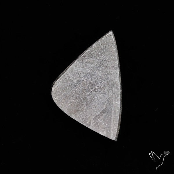 Rare Gibeon Meteorite