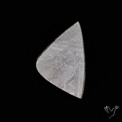 Rare Gibeon Meteorite