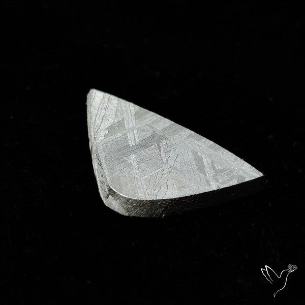 Rare Gibeon Meteorite