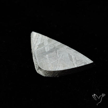 Rare Gibeon Meteorite