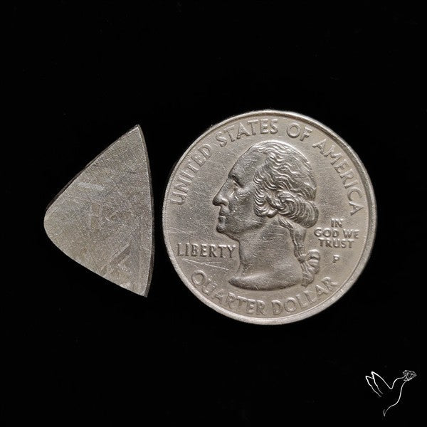 Rare Gibeon Meteorite