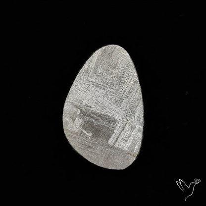 Rare Gibeon Meteorite