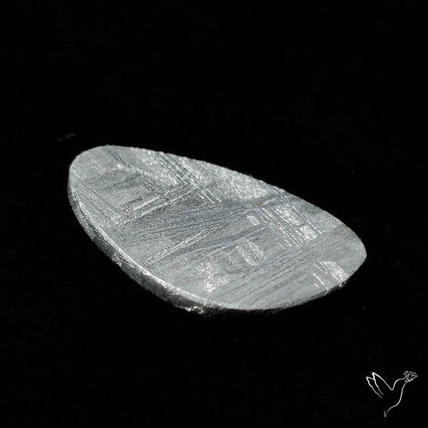 Rare Gibeon Meteorite