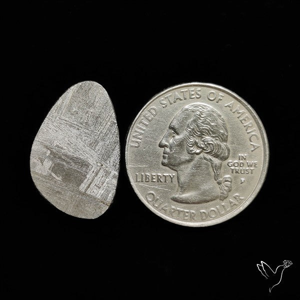 Rare Gibeon Meteorite