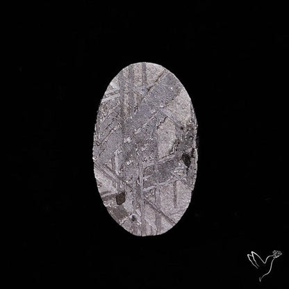 Rare Gibeon Meteorite