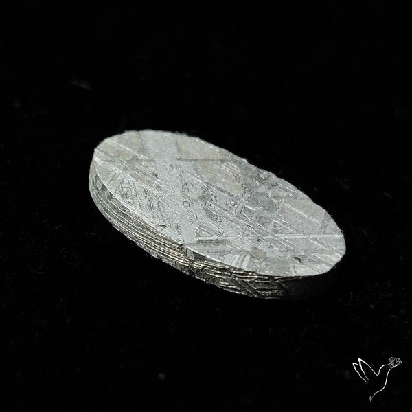 Rare Gibeon Meteorite