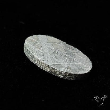 Rare Gibeon Meteorite