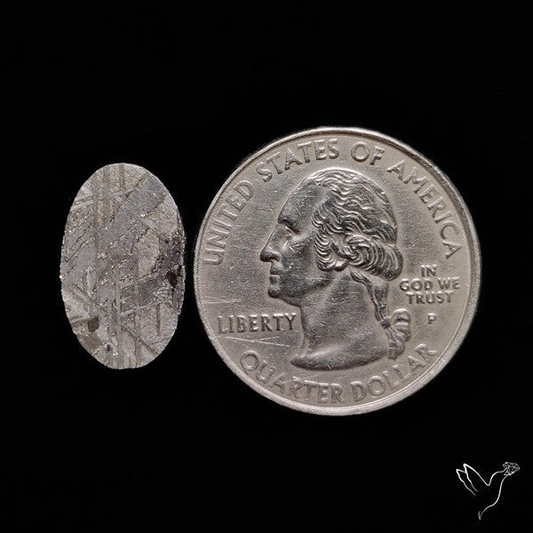 Rare Gibeon Meteorite