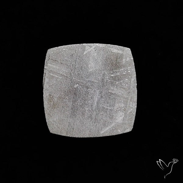 Rare Gibeon Meteorite