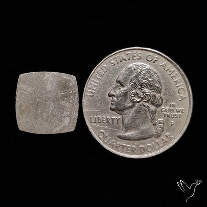 Rare Gibeon Meteorite