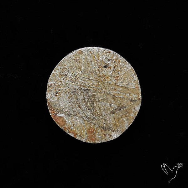 Rare Gibeon Meteorite