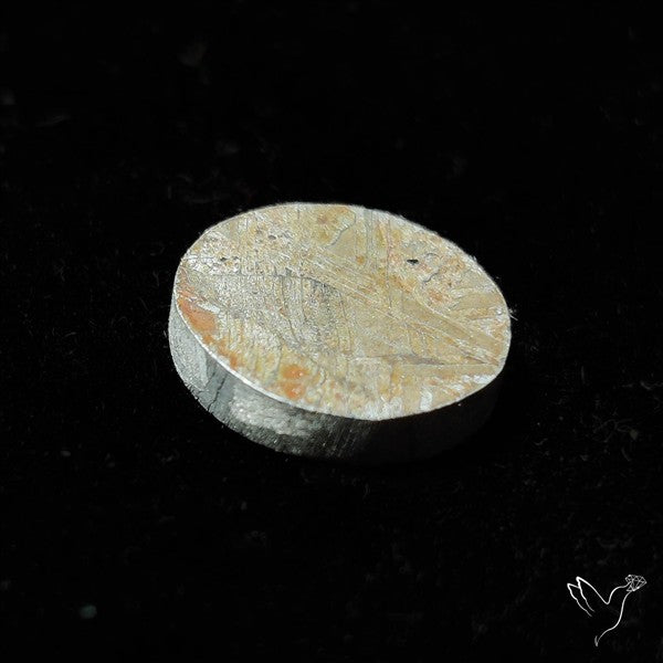 Rare Gibeon Meteorite