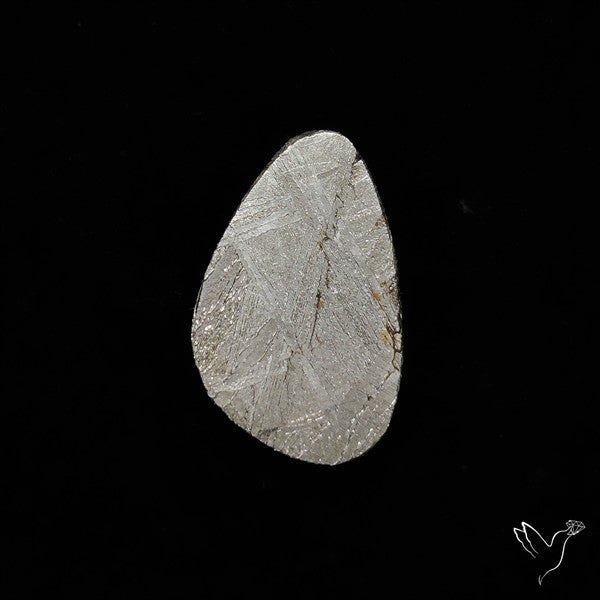 Rare Gibeon Meteorite