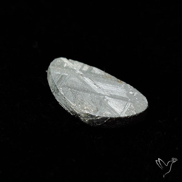 Rare Gibeon Meteorite