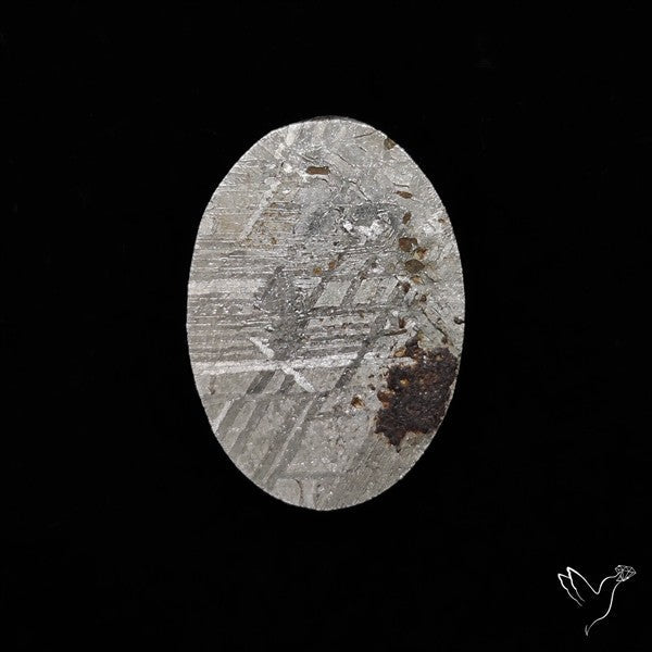 Rare Gibeon Meteorite