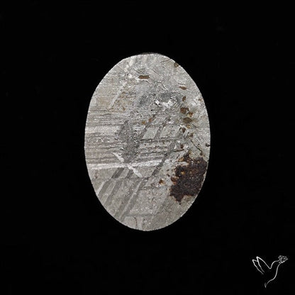 Rare Gibeon Meteorite